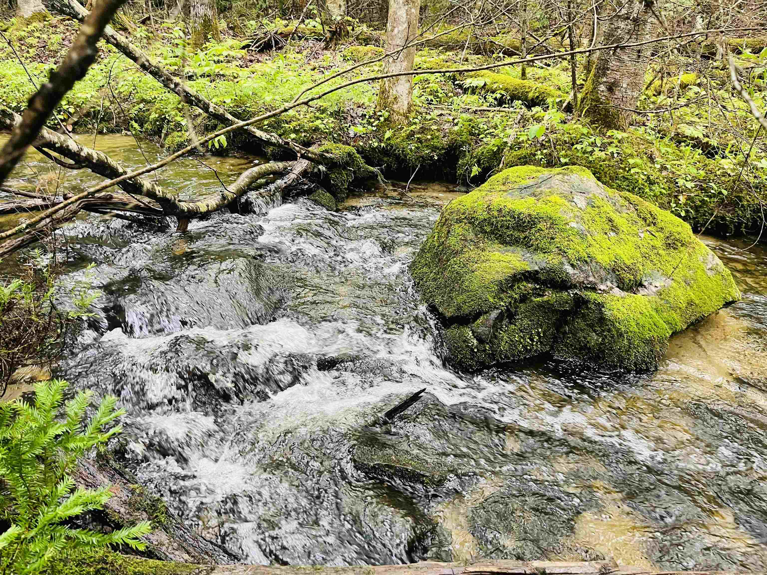 Property Photo: 1010 Fellows Road VT 05905