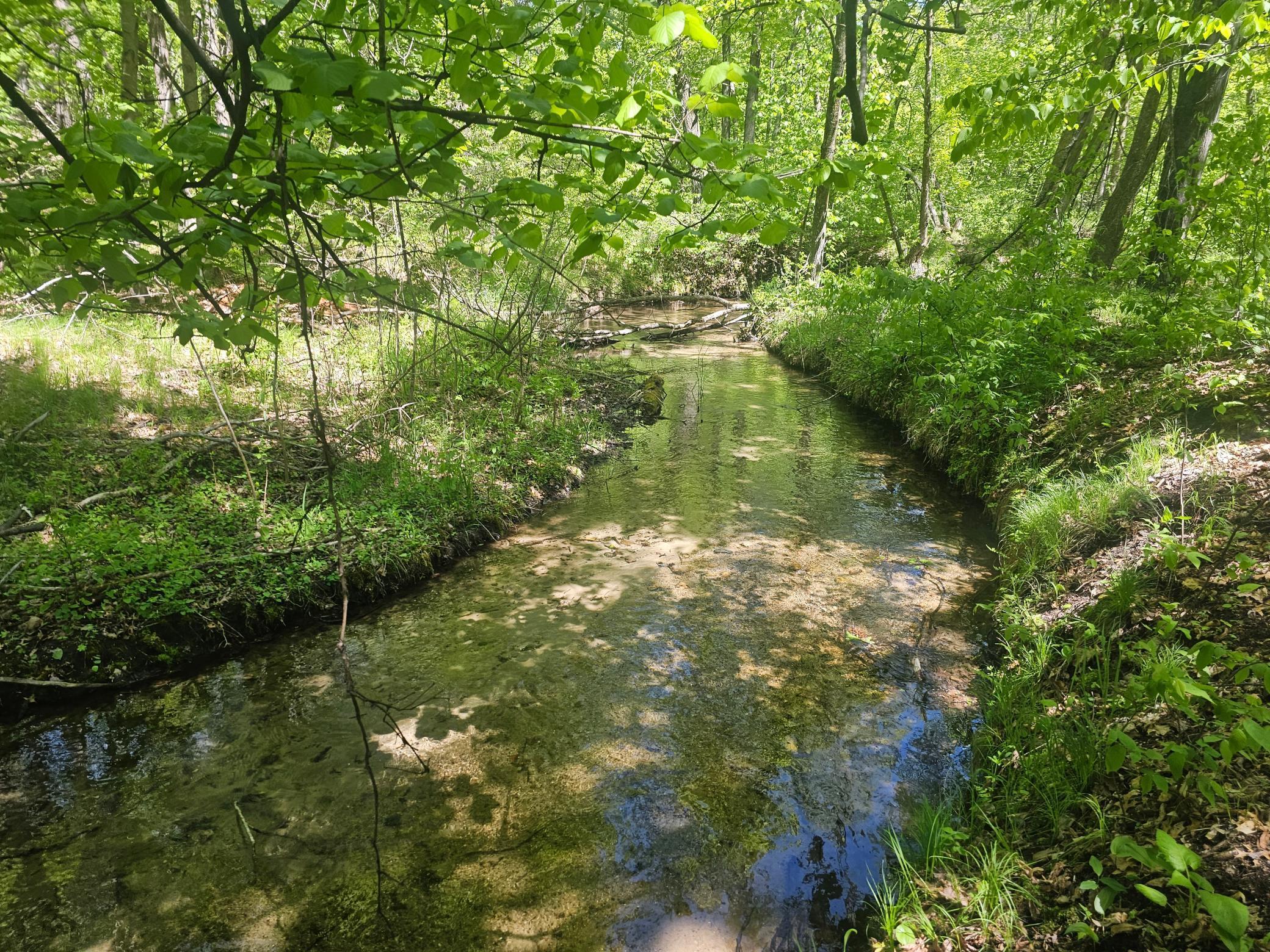 Property Photo:  8366 Hidden Creek Court  MN 56472 