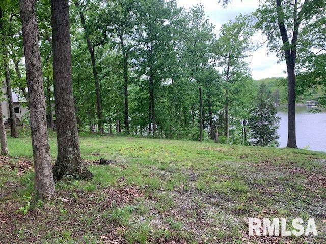 Property Photo: 3695 Parrish Ridge Lane IL 62939