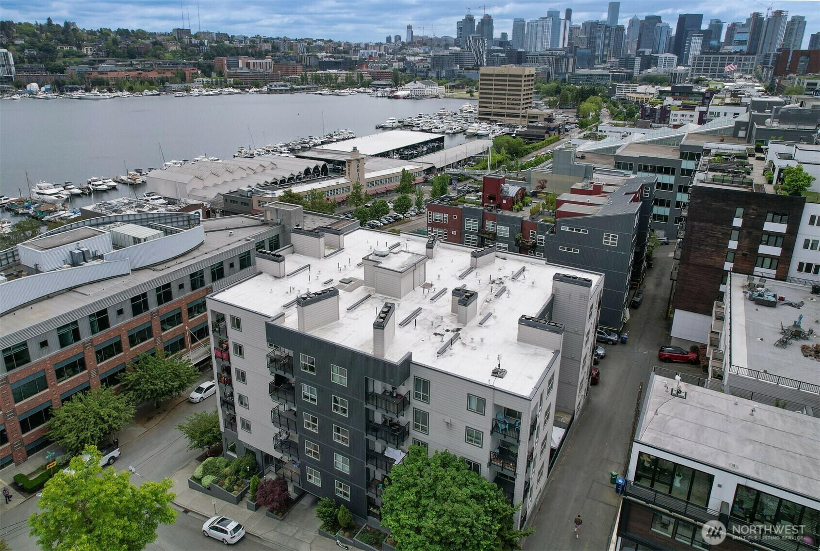 769  Hayes Street 504  Seattle WA 98109 photo