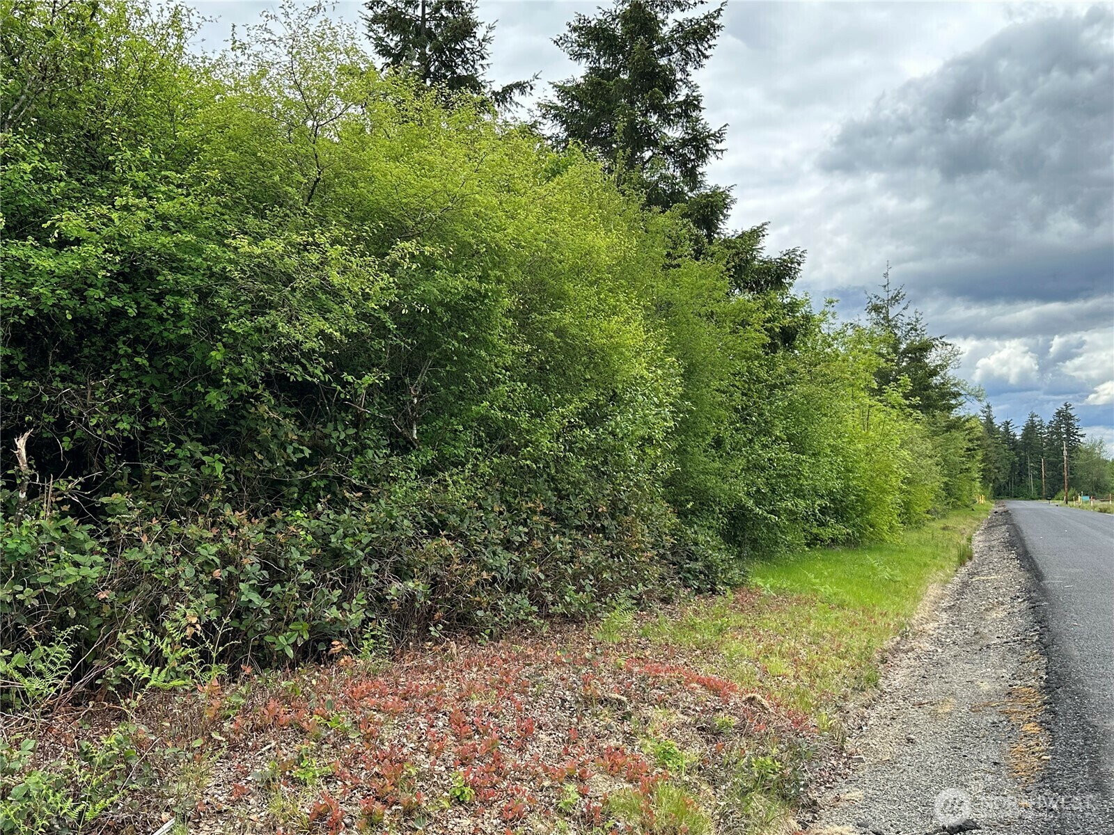 Property Photo: 0 Bremgartner Road WA 98596