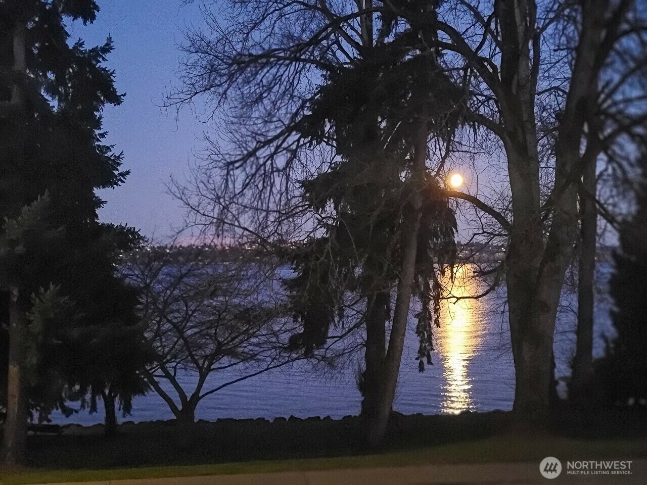 6736  Lake Washington Boulevard NE 8  Kirkland WA 98033 photo