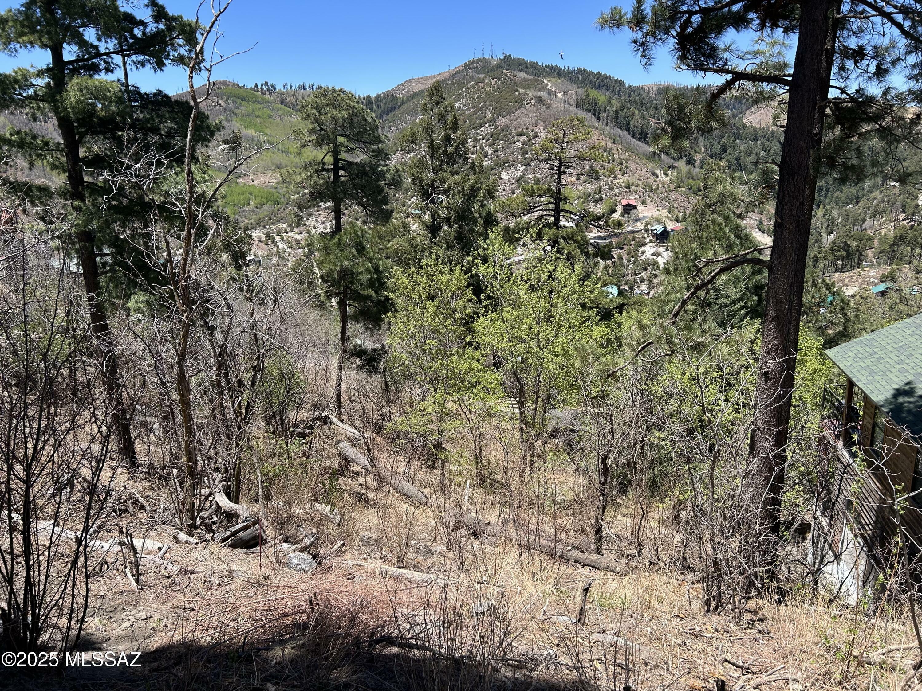 Property Photo: 12896 N Ajo 6 AZ 85619