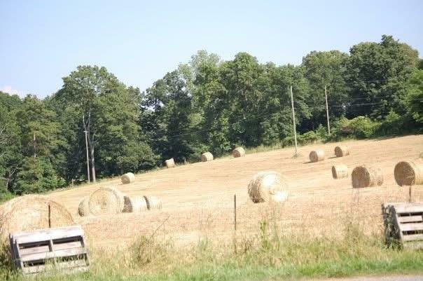 Property Photo: 141 Holcomb Spur NW GA 30103