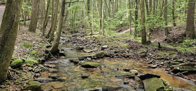 0 Oak Leaf Lane  Dunlap TN 37327 photo