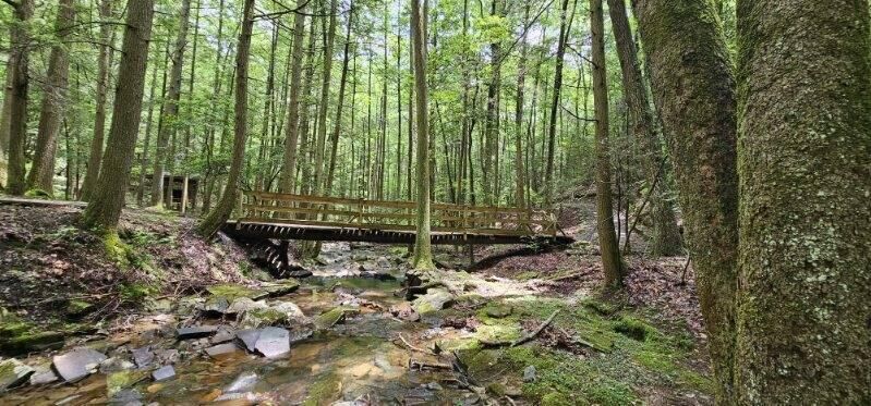 Property Photo: 0 Oak Leaf Lane TN 37327