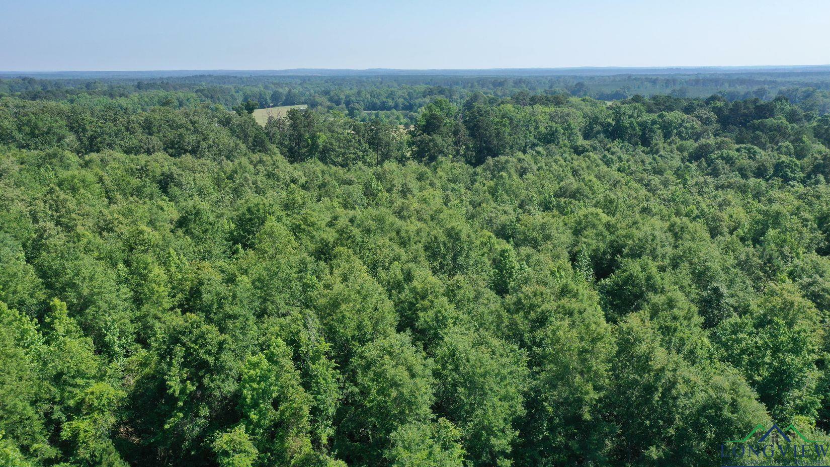 Property Photo: 0000 County Road 1886 TX 75562