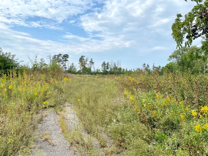 Property Photo: 28884 N Il Route 83 IL 60060