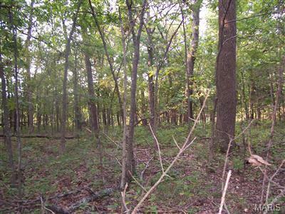 0 W Outer Road  Farmington MO 63640 photo