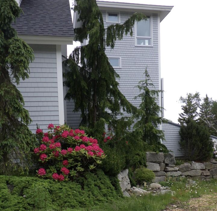 Property Photo: 360 Red Point Road ME 04685