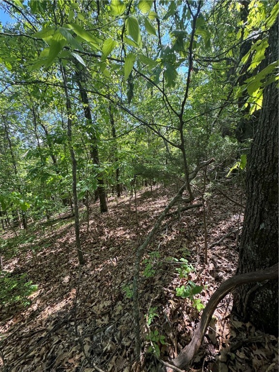 Property Photo:  000 County Road 3216  AR 72830 