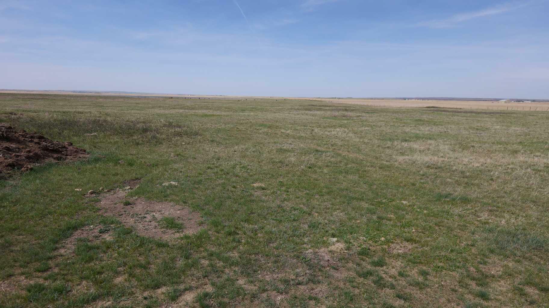 Property Photo: Vulcan County AB T0L 2B0