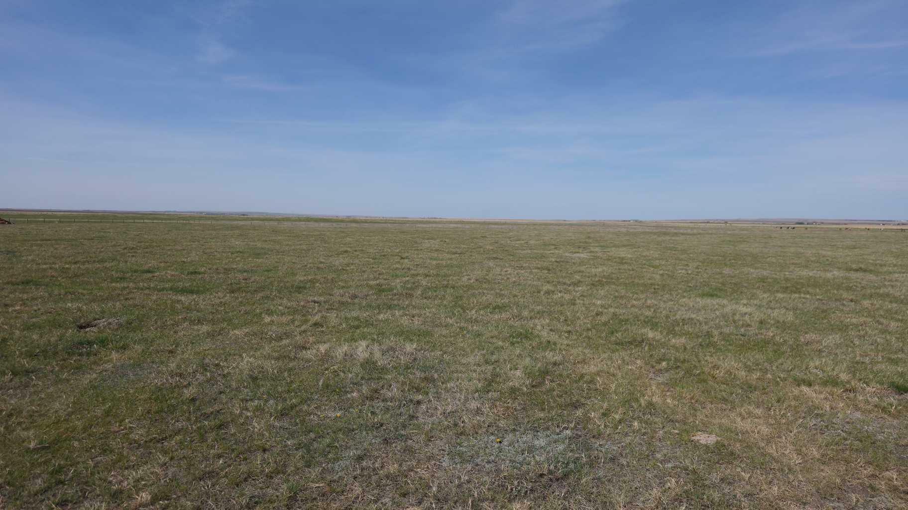 Property Photo:  Vulcan County  AB T0L 2B0 