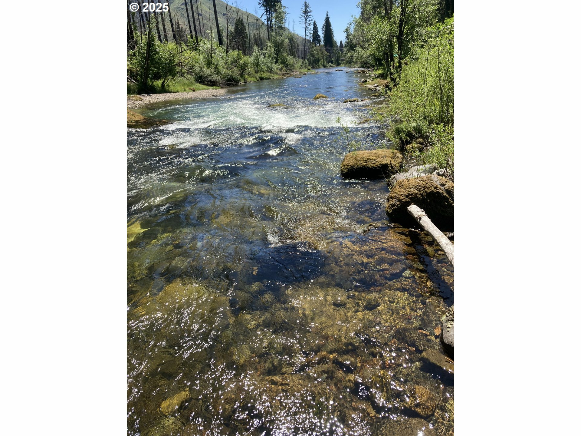 Property Photo: 91303 Blue River Rd OR 97413