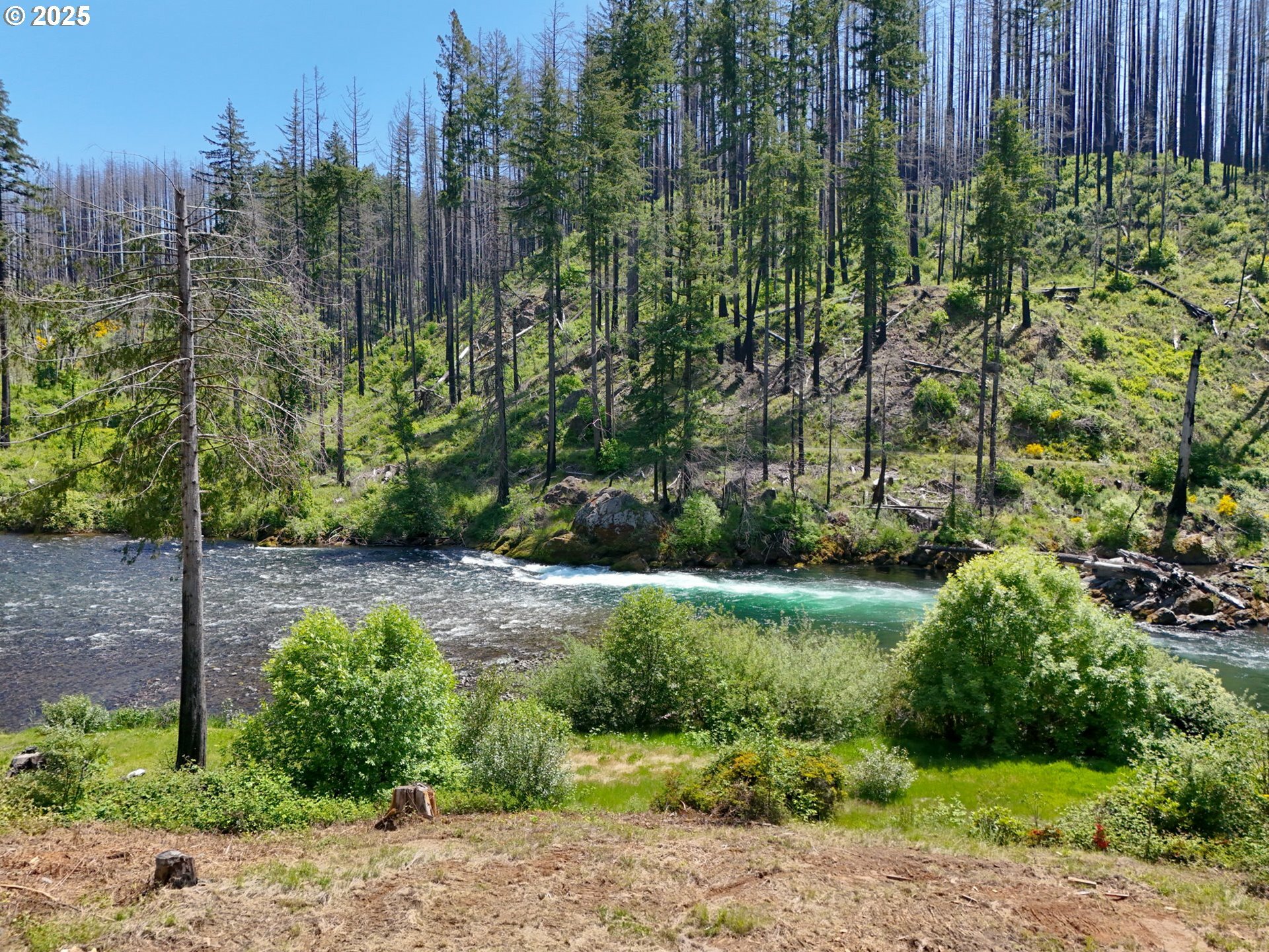 Property Photo: 47772 McKenzie Hwy OR 97488