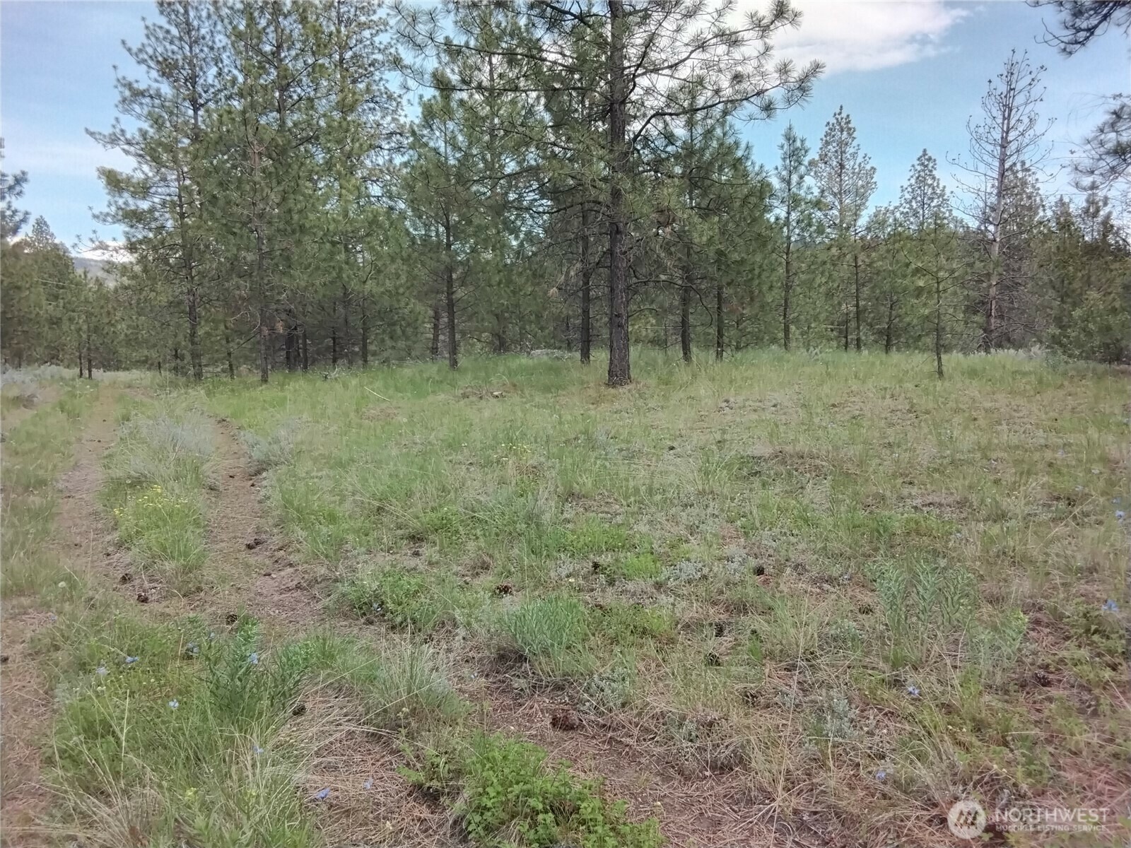 Property Photo: 0 Cape Labelle Road WA 98855