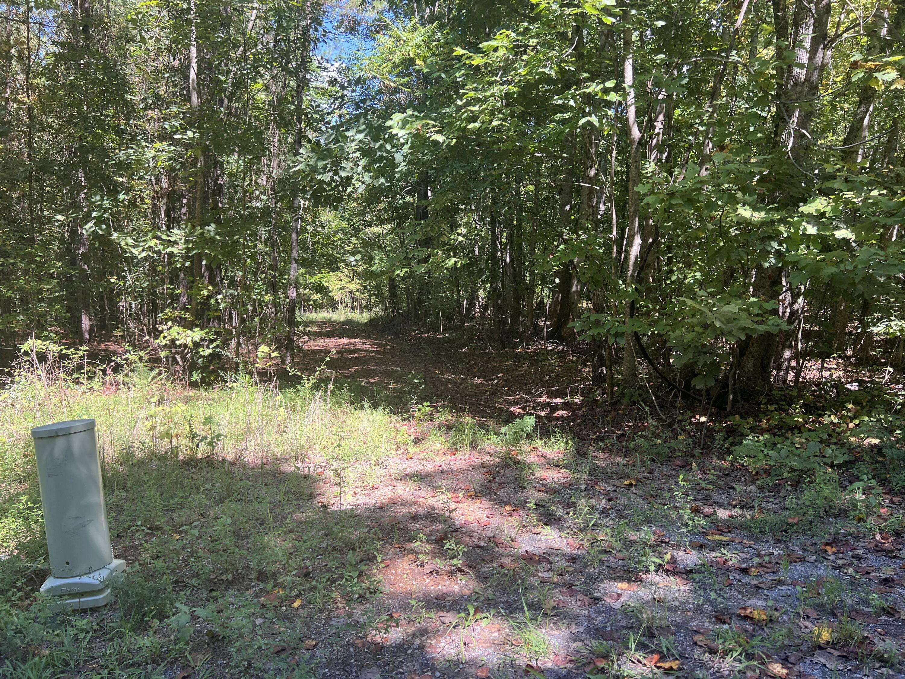 00 Lower River Road  Decatur TN 37322 photo