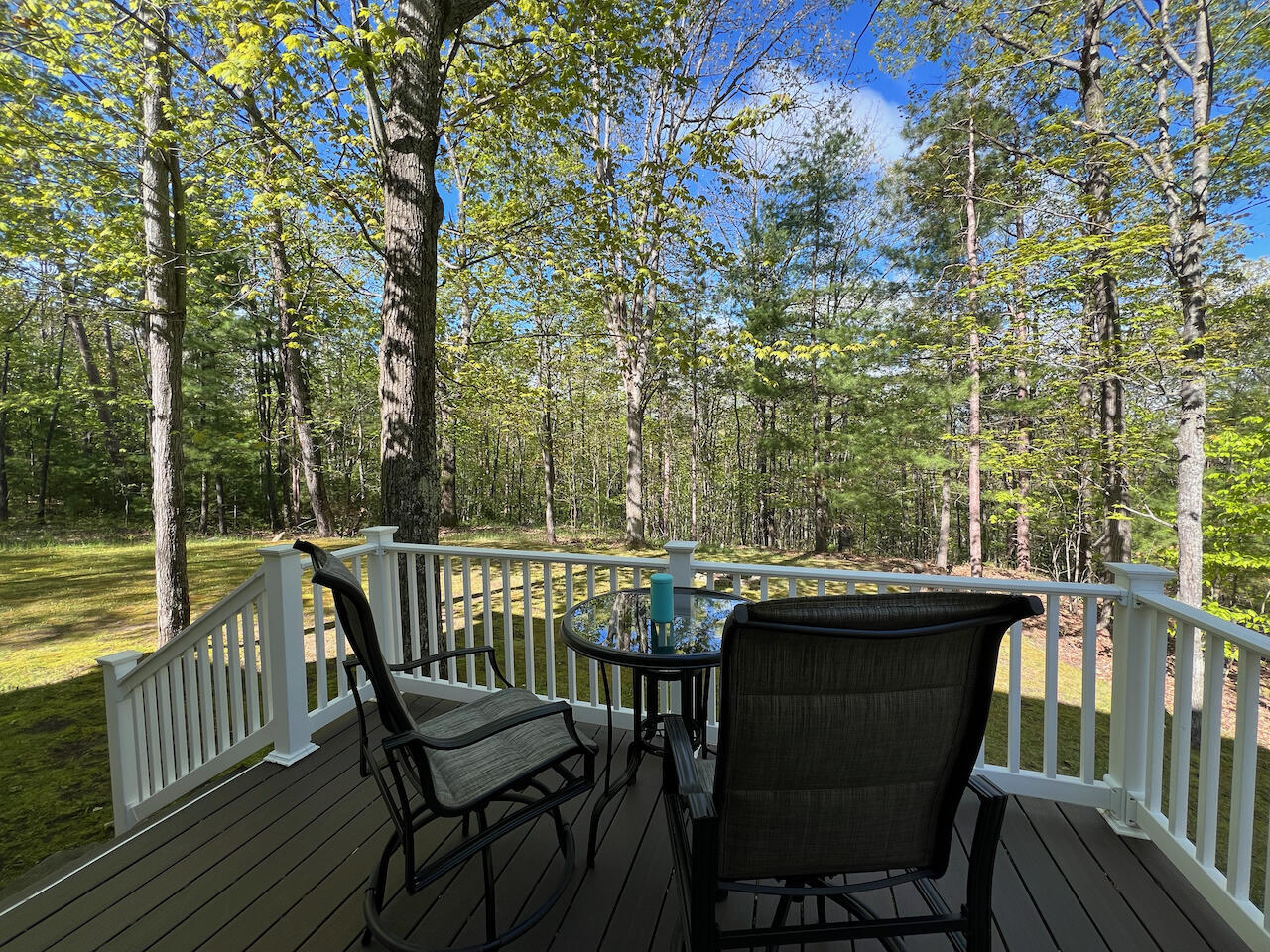 Property Photo: 1766 Chippewa Beach Road MI 49749