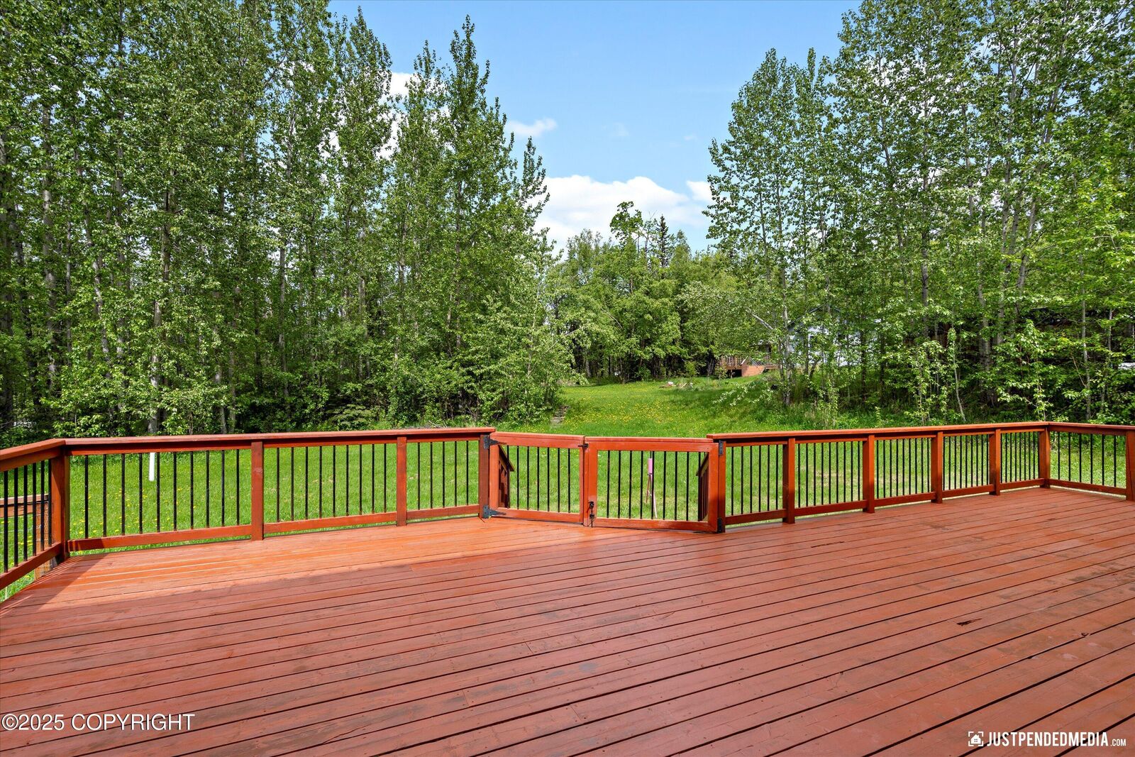 Property Photo: 1061 E Mulchatna Drive AK 99654