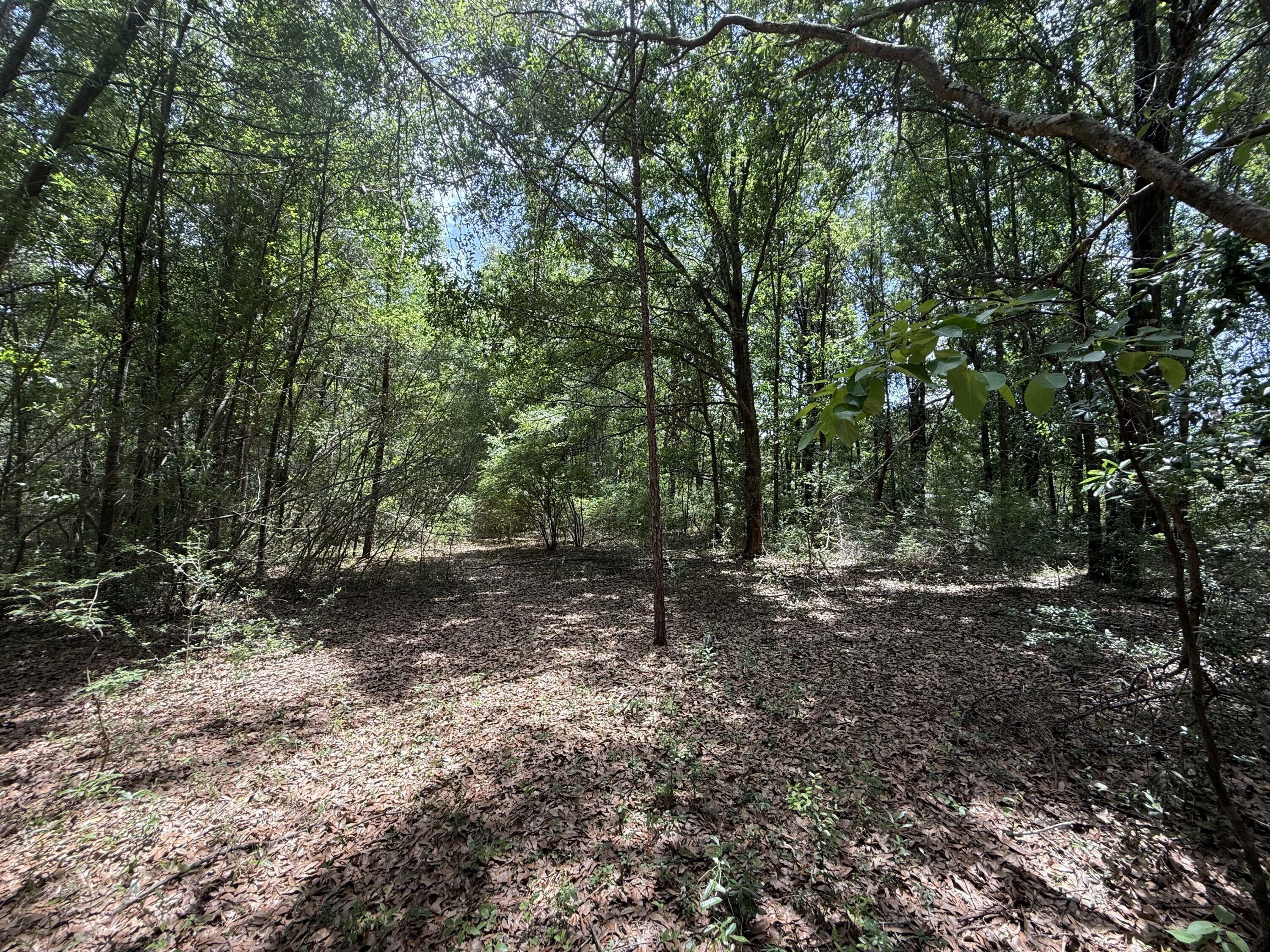 Property Photo: Tbd US-90 FL 32563