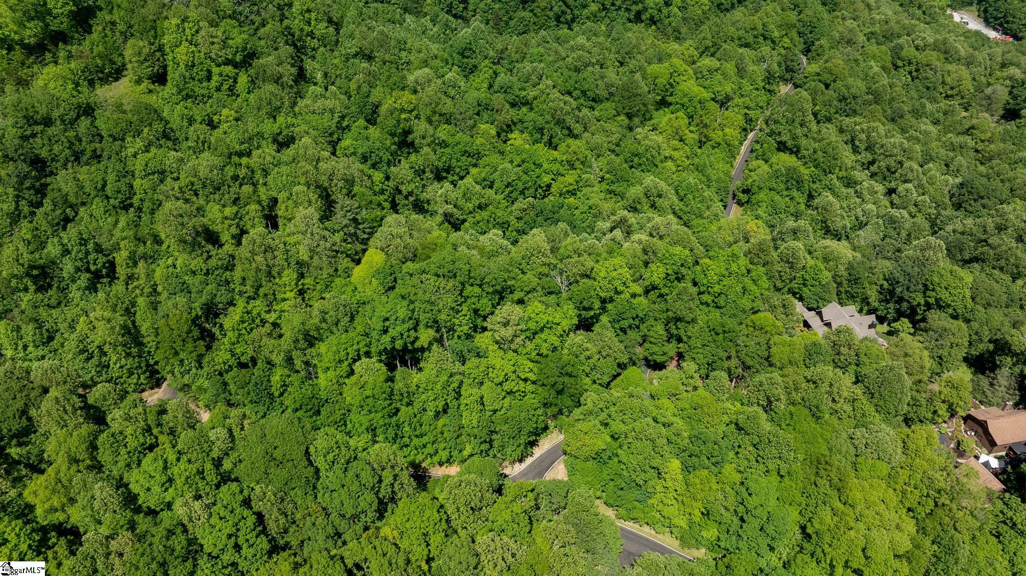 Property Photo:  149 Lacey Fern Way  SC 29356 
