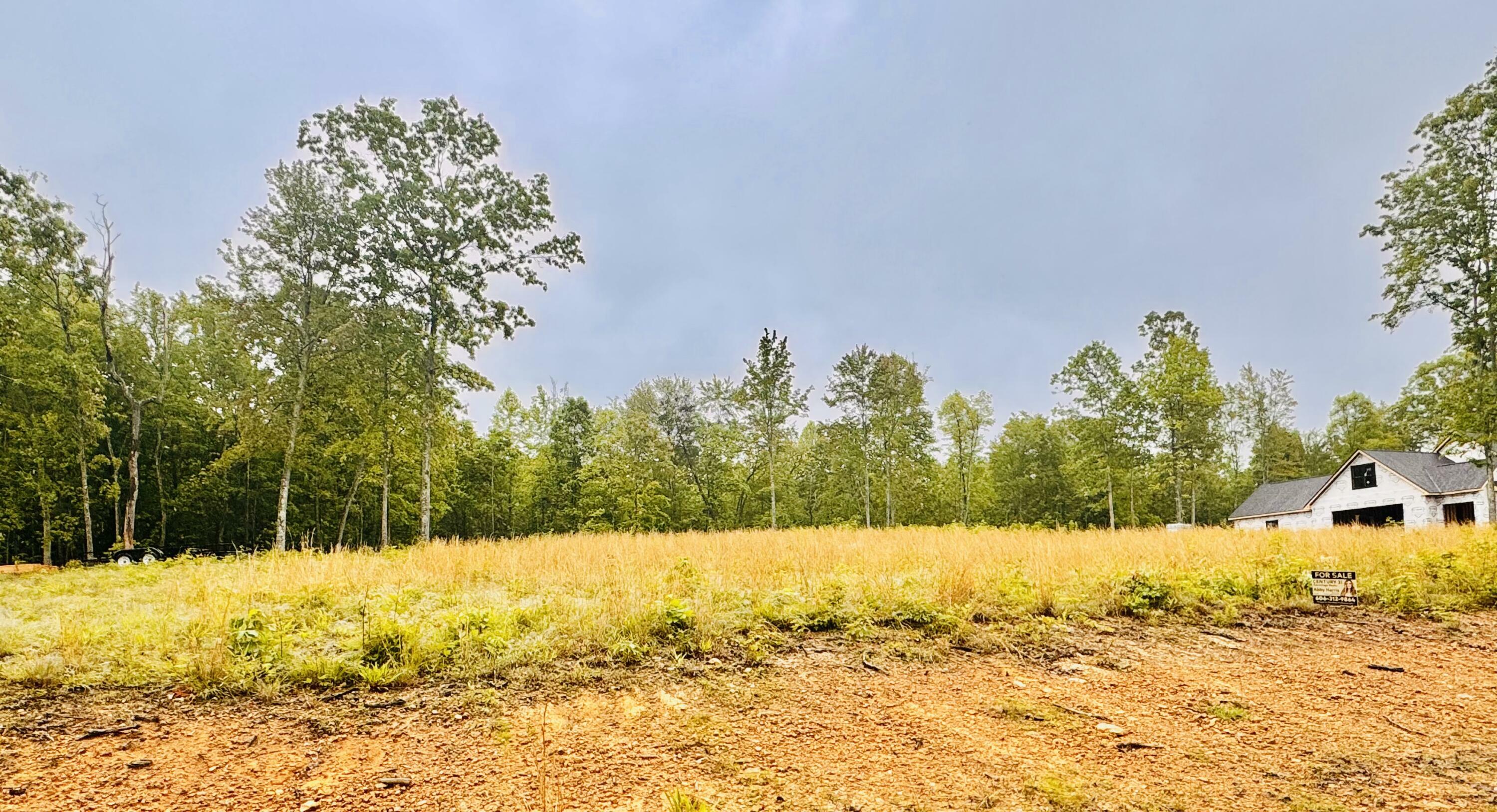 Property Photo: P-3 Twins Pond Road KY 40701