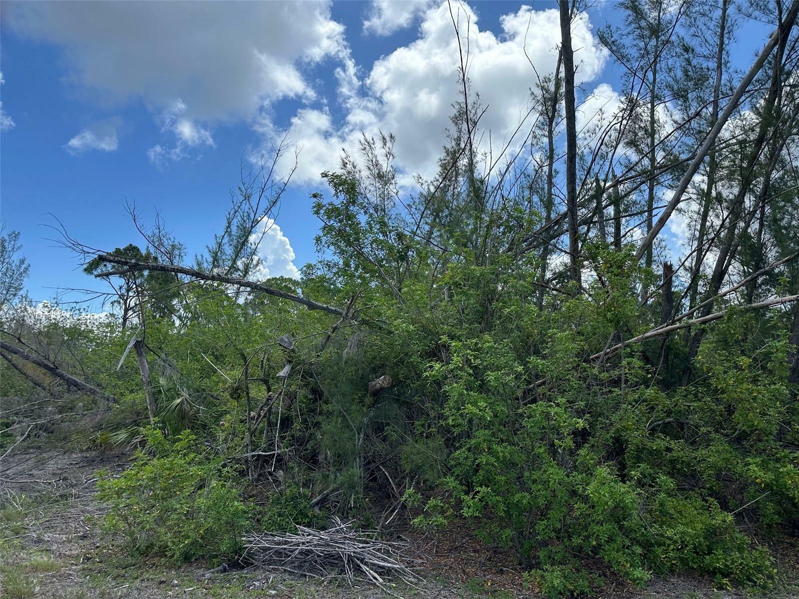 Property Photo: 10792 Hatchet Circle FL 33981