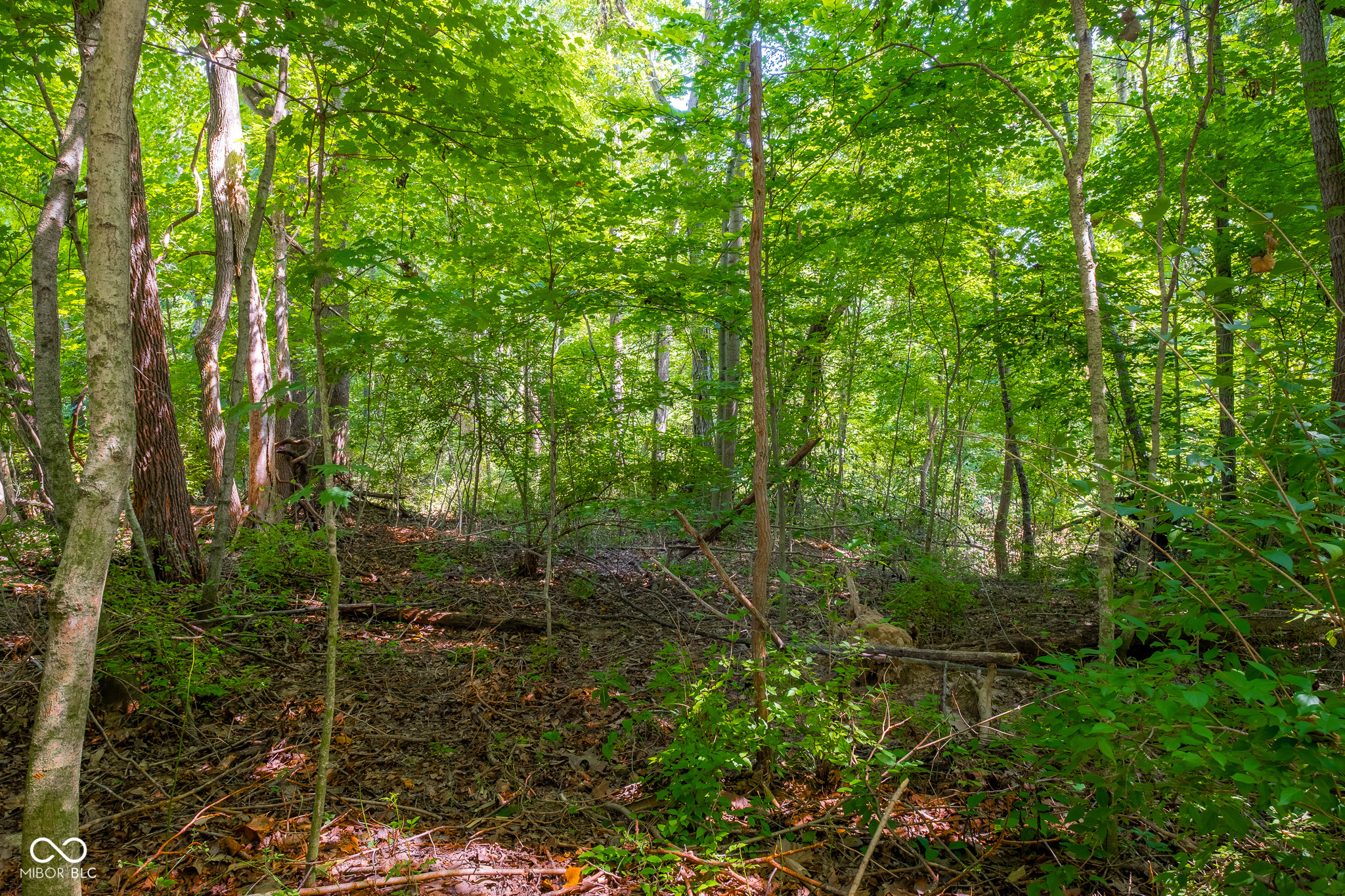 Property Photo: 6475 W Ohio Ridge Road IN 47201