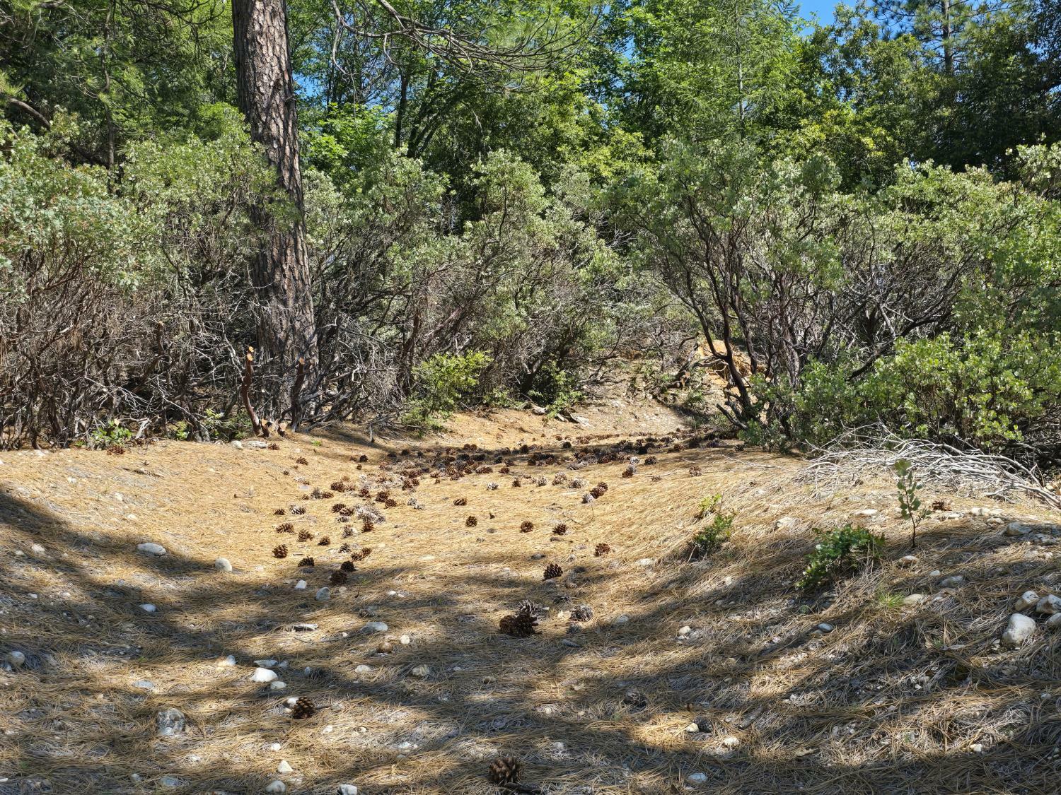 Property Photo: 13091 Sailor Flat Road CA 95959