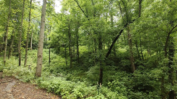 Property Photo:  56 Harbor Drive  TN 38569 