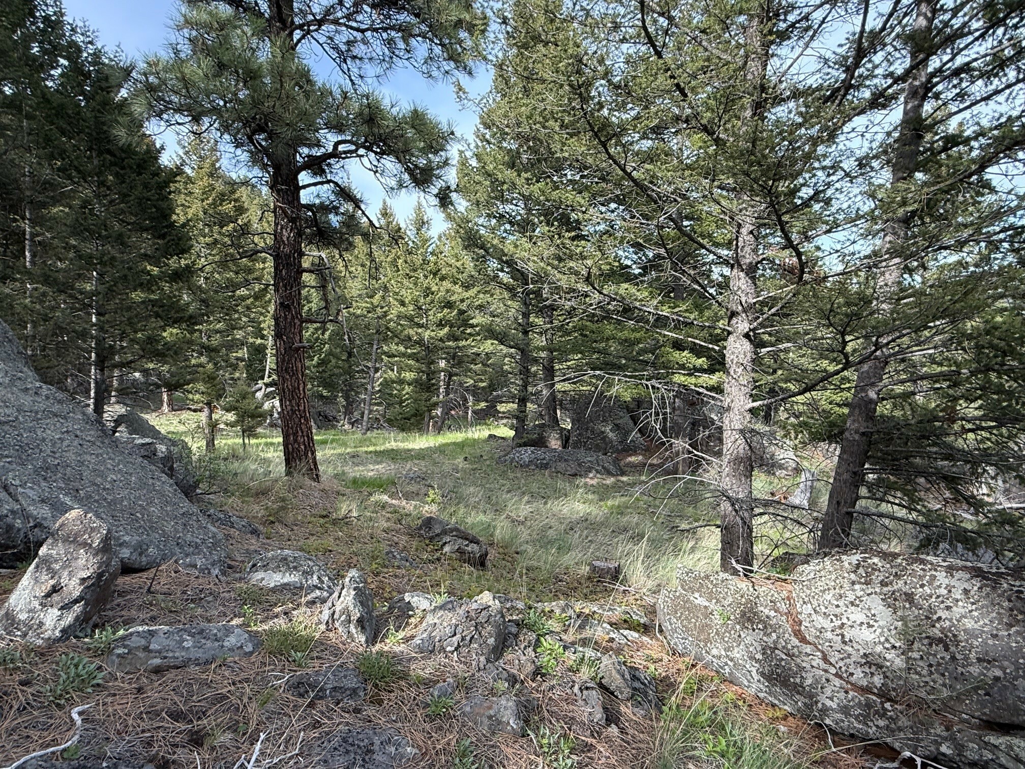 Property Photo: 3 Bear Court MT 59634