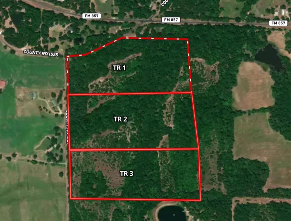Property Photo: Tract 3 Tbd Vzcr 1507 TX 75140