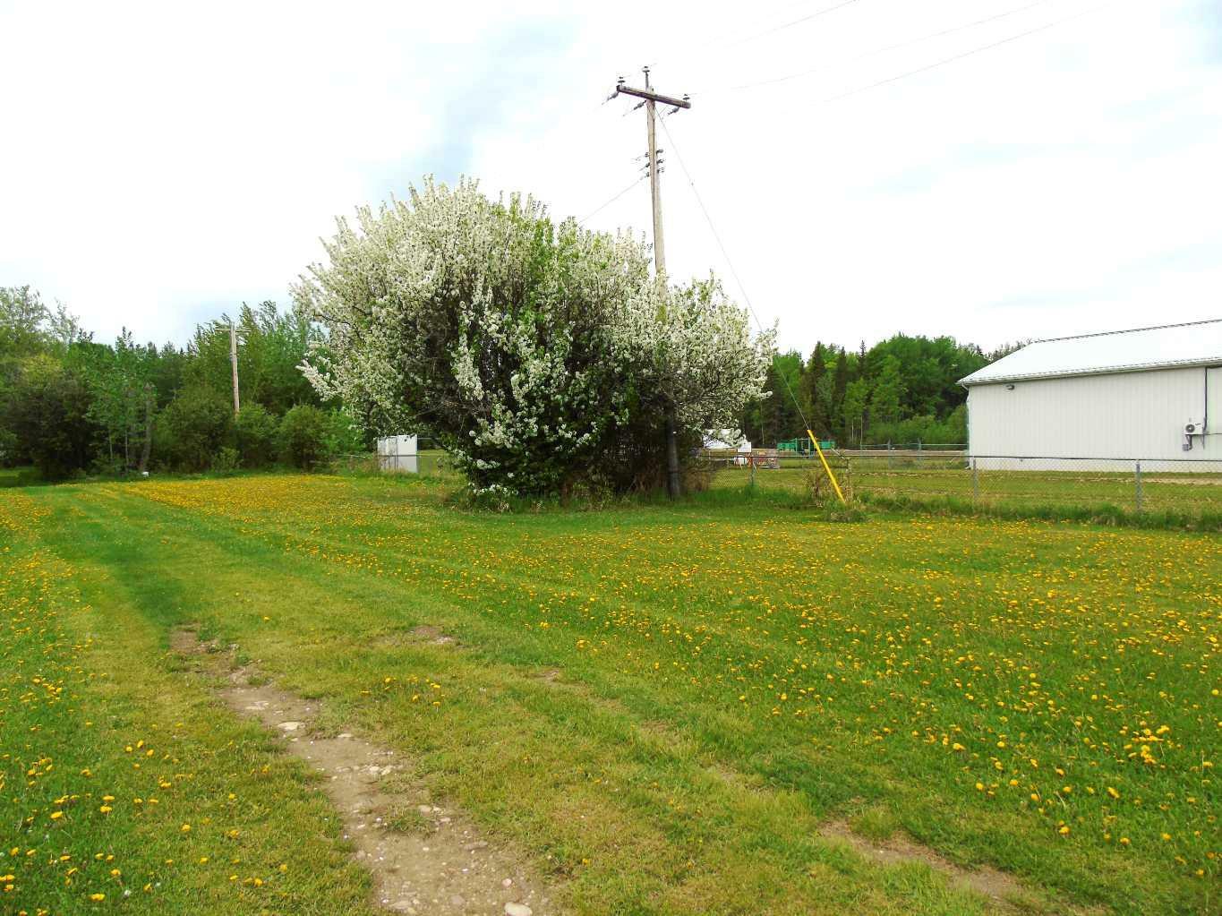 Property Photo: Lot 2 1st Street E AB T0G 0X0