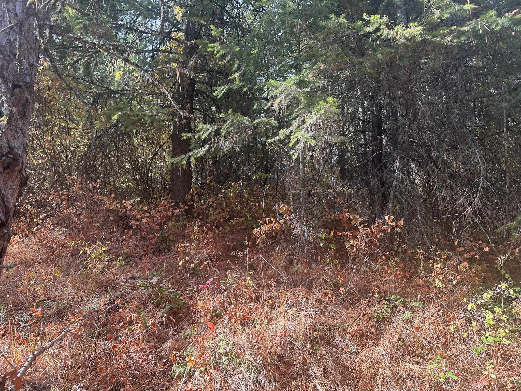 Property Photo: 4450 Buck Creek Rd WA 99148