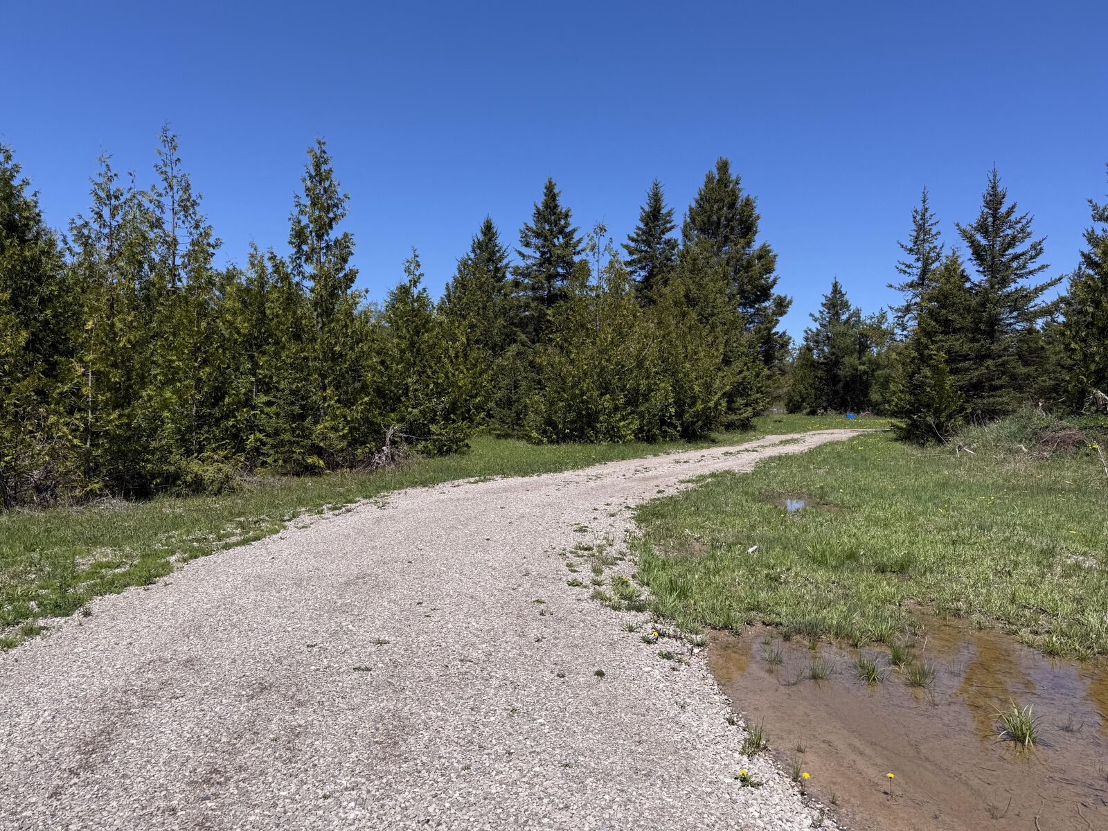 Property Photo:  9613 Ross Road  MI 49721 