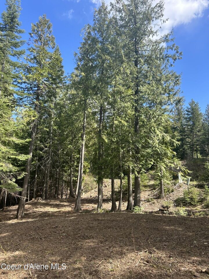 Property Photo: Lot 17 White Cloud Dr ID 83864
