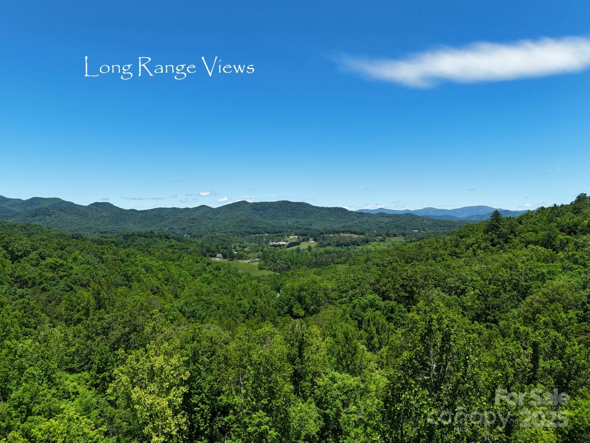 Property Photo: 0 Elkhorn Ridge Drive 87 NC 28734