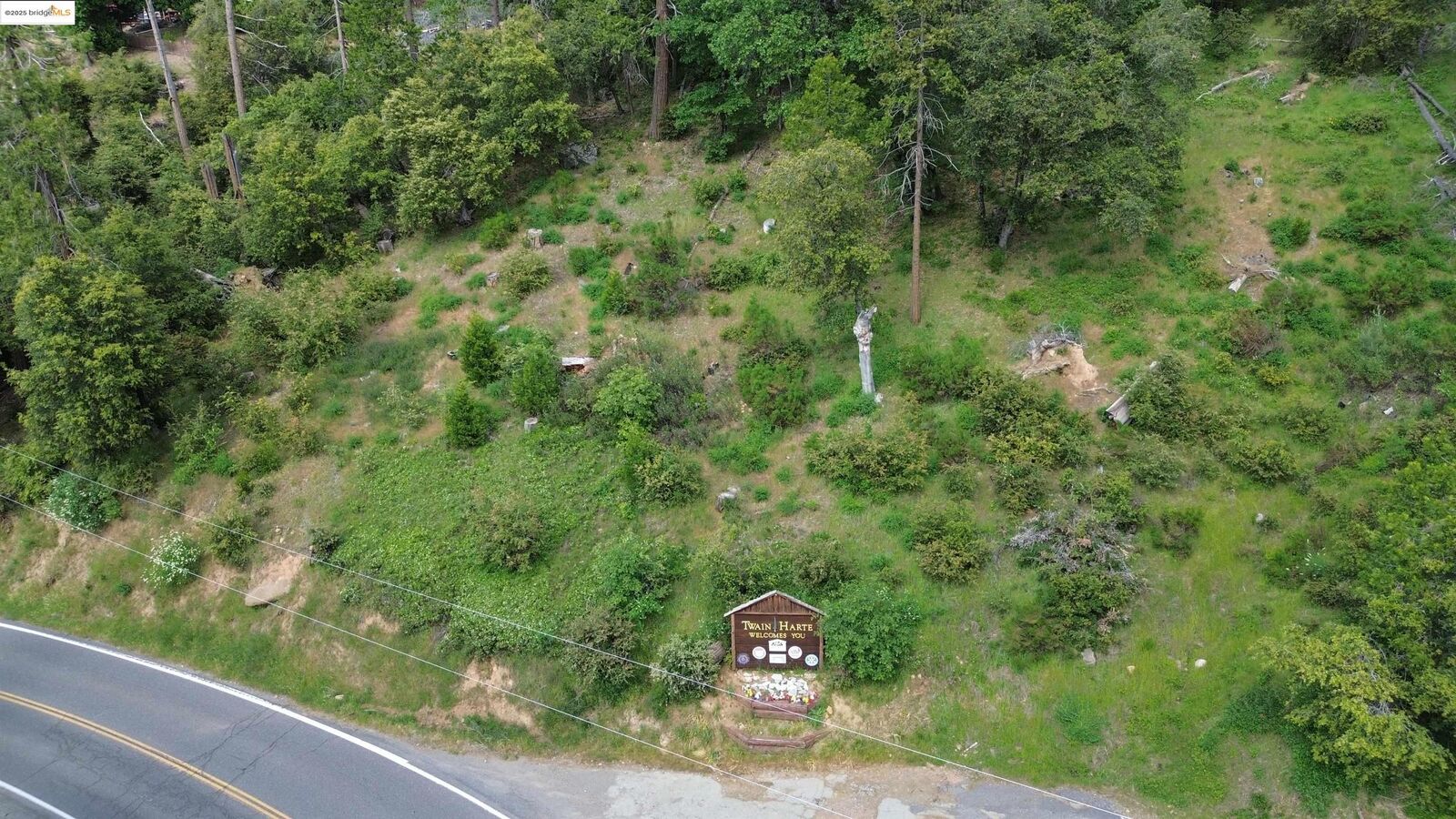 Property Photo:  0000 Twain Harte Drive  CA 95383 