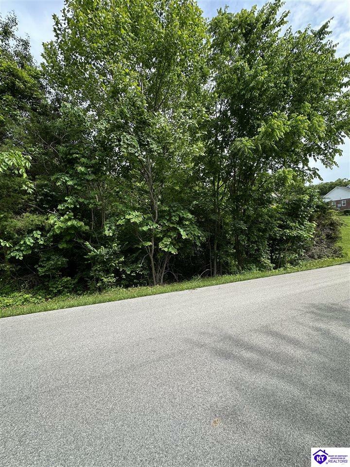 Property Photo: 0 Deer Run Way KY 42701