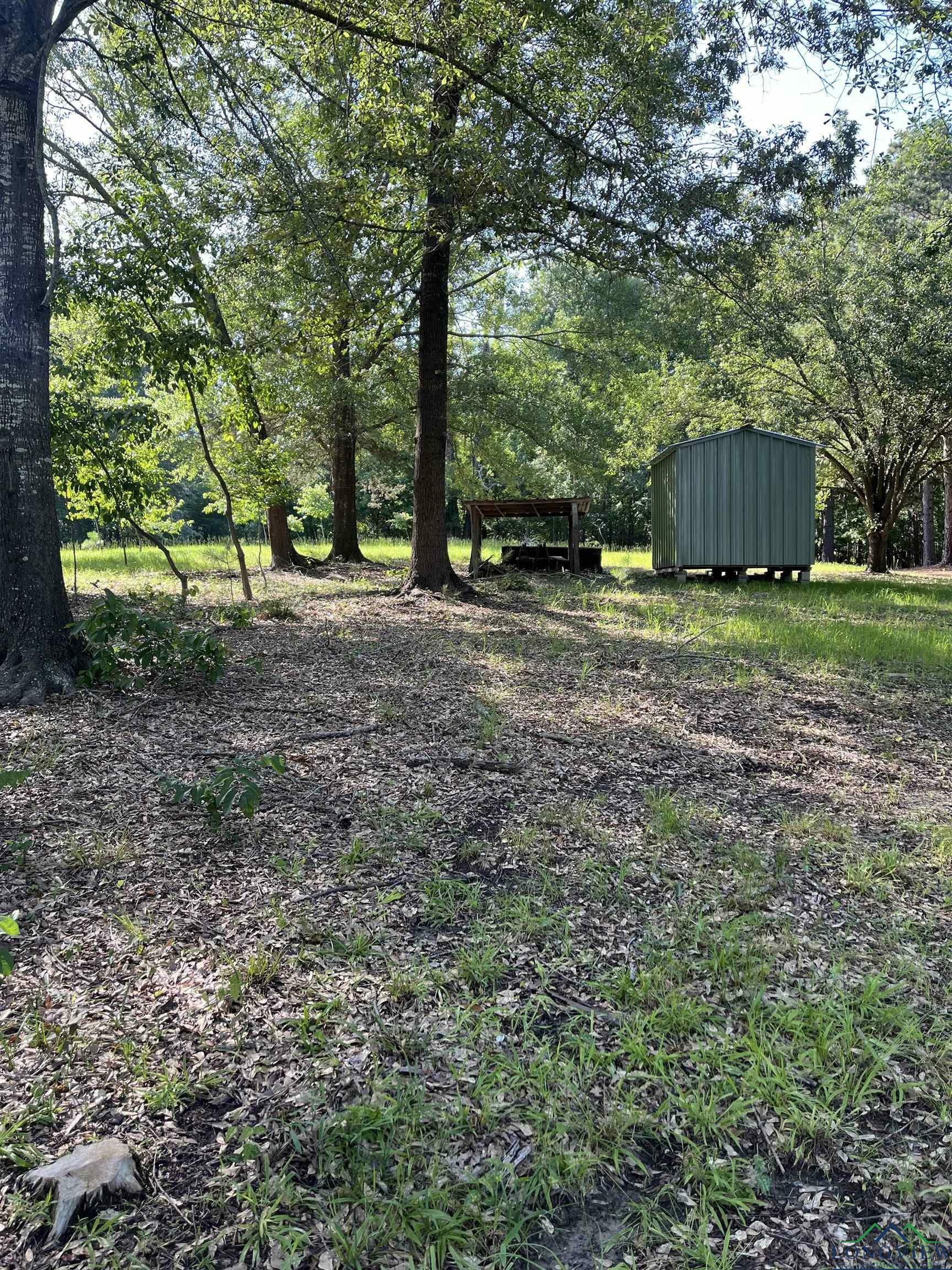 Property Photo: 459 Bass St Fm 729 TX 75630