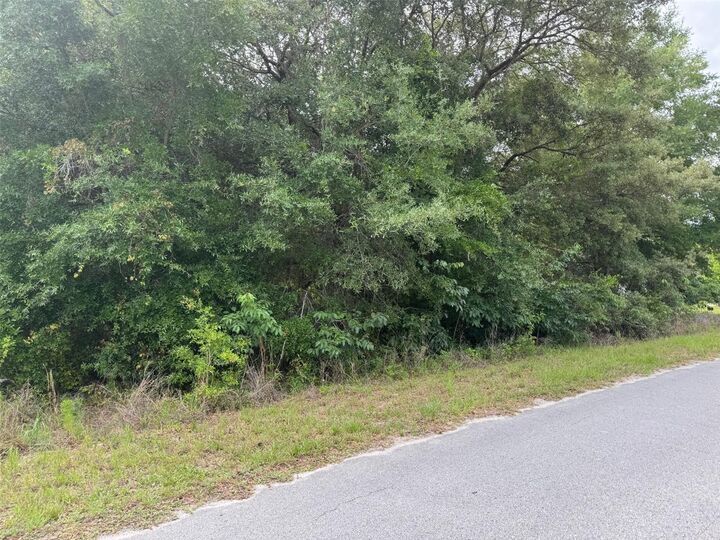 Property Photo: Lot 422 &Amp 423 SW Shorewood Drive FL 34431