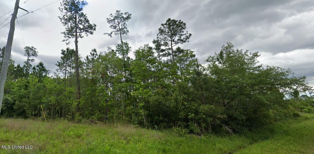 Property Photo:  Amazon Street  MS 39520 