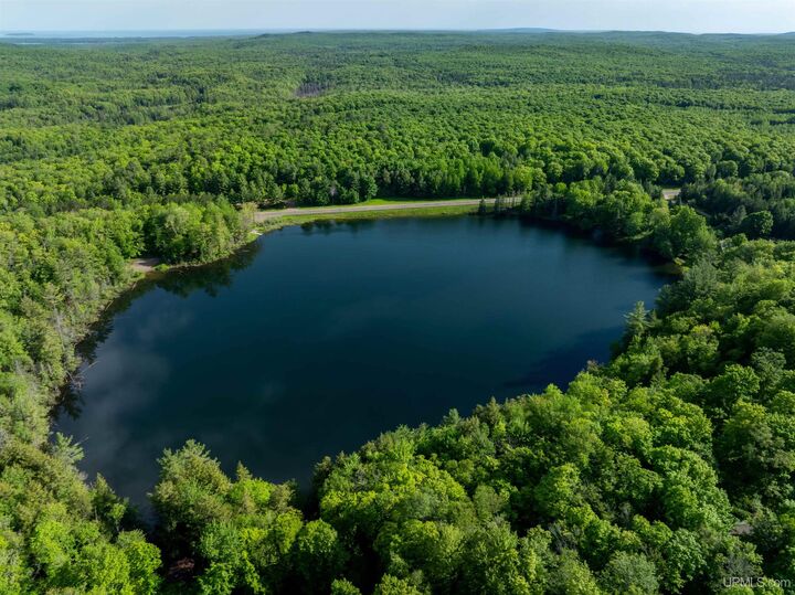 Property Photo:  Tbd Ackerman Lake Road  MI 49806 