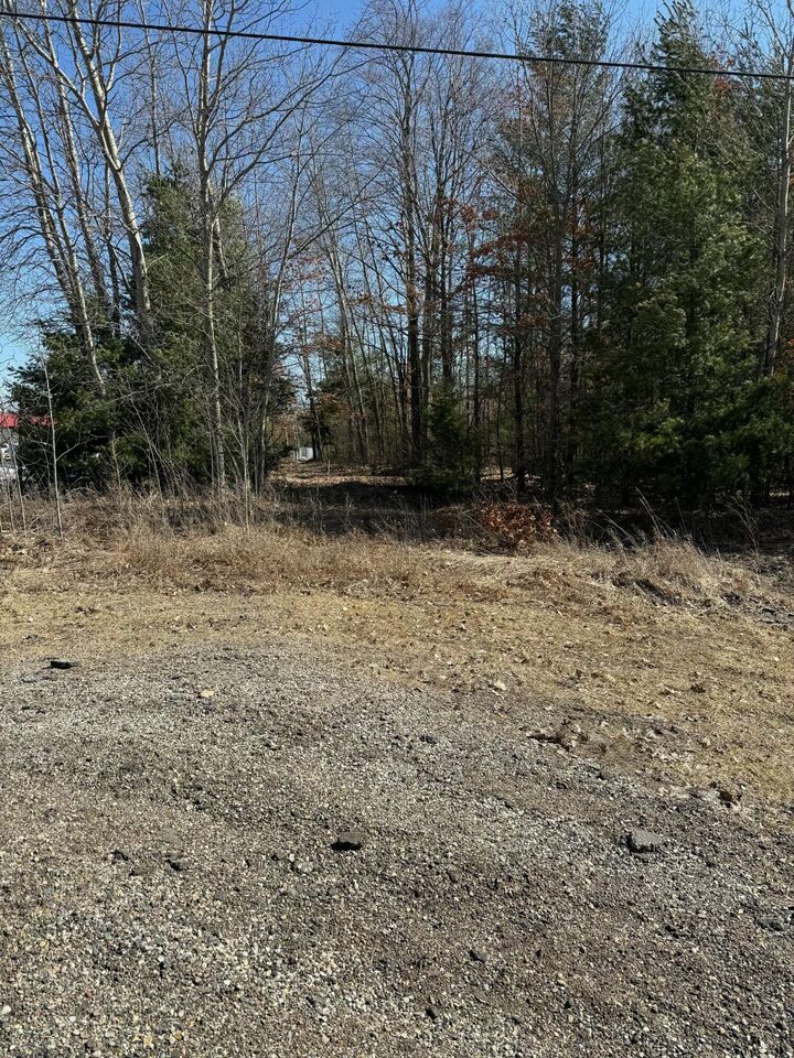 Property Photo:  90th Ave  MI 49332 