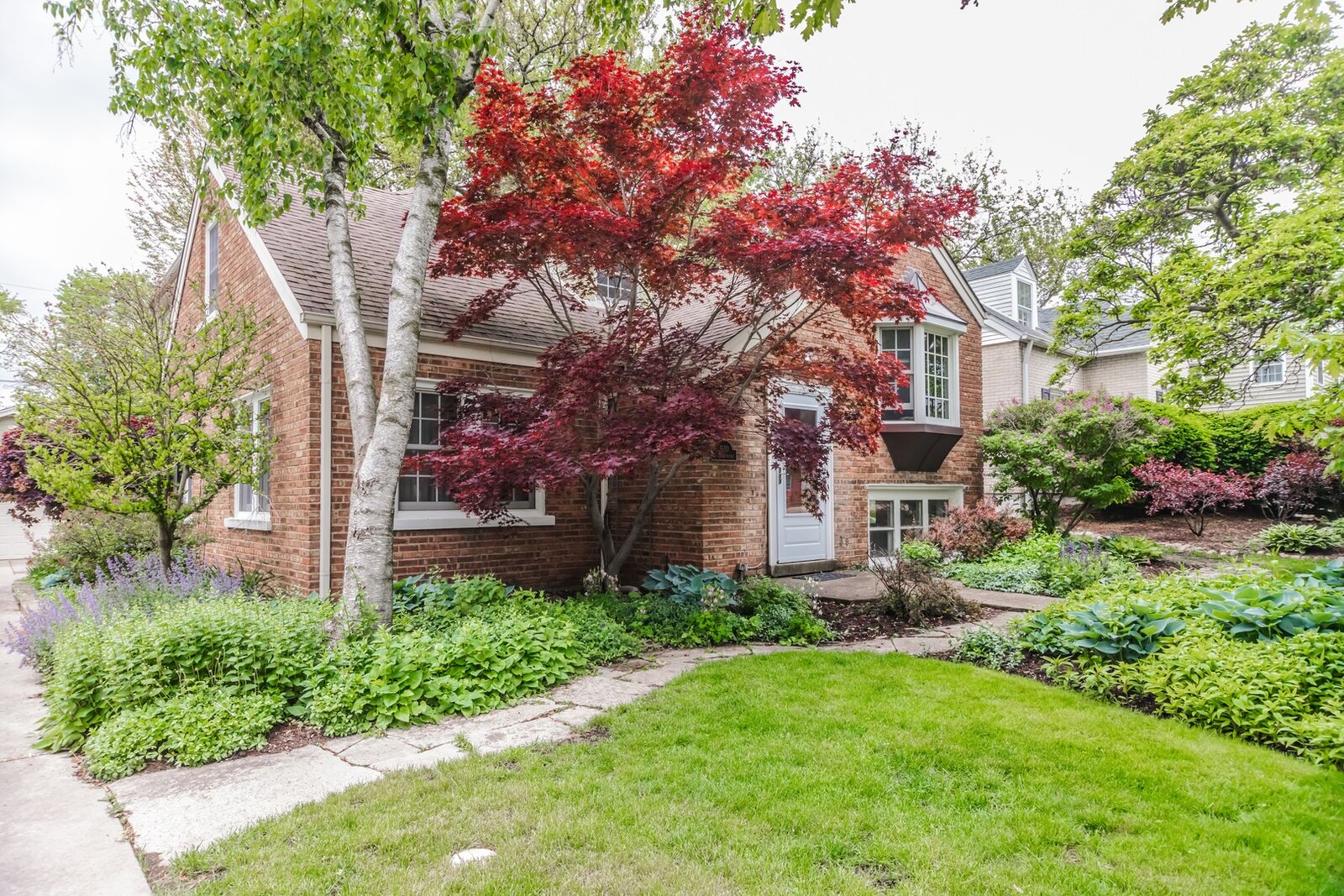 Property Photo:  920 Stoddard Avenue  IL 60187