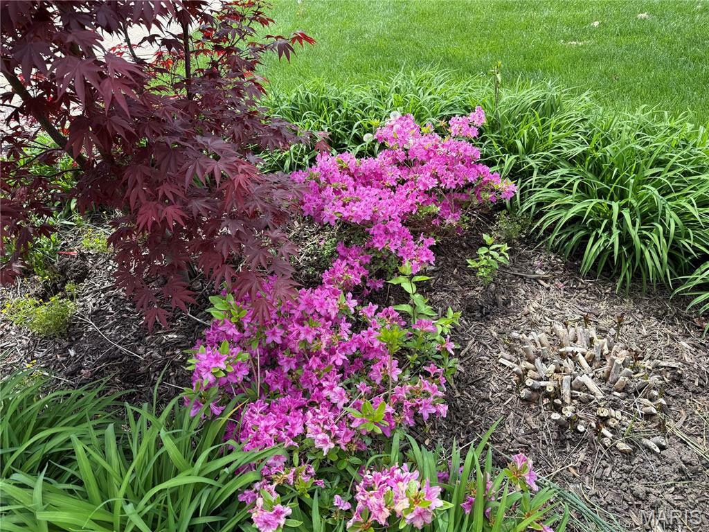 Property Photo: 14760 Brook Hill Drive MO 63017