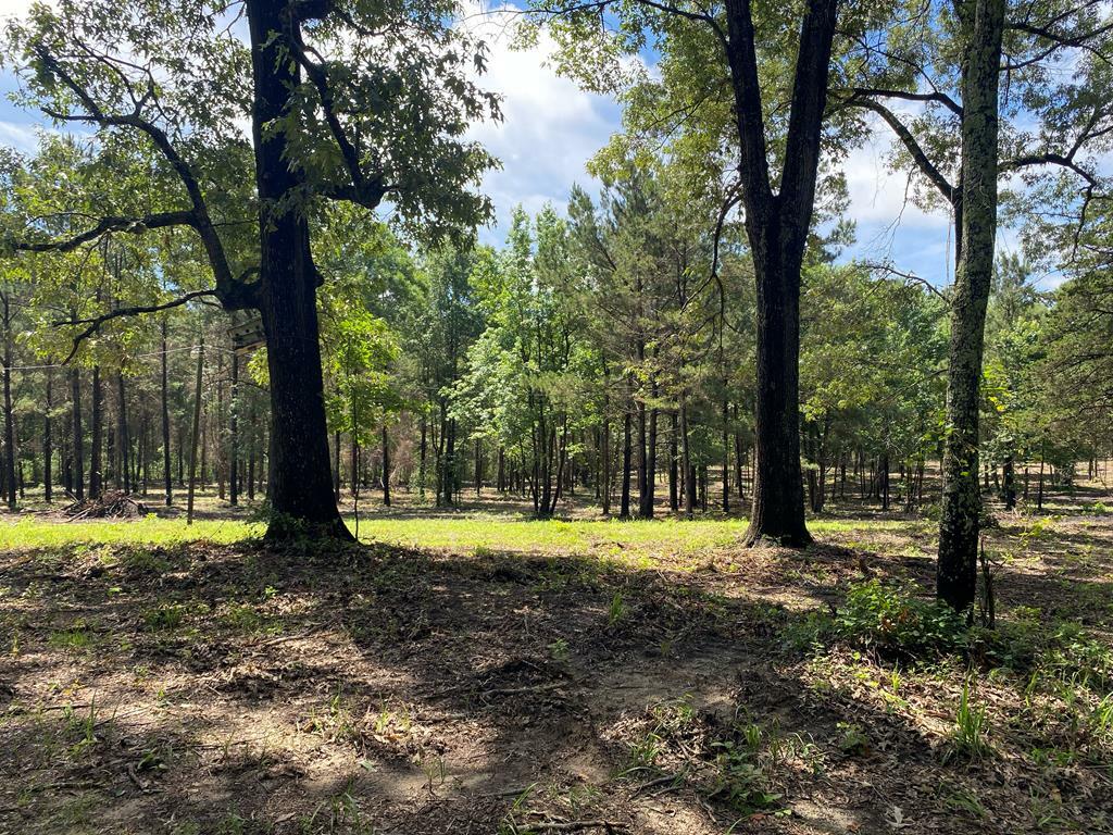 Tba-A Cr 3853  Joaquin TX 75954 photo