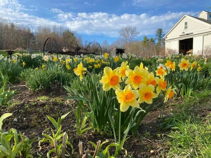 Property Photo:  24 White Brook Drive  NH 03445 