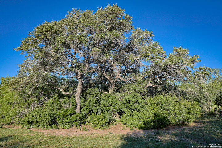 Property Photo:  000 County Line Rd # 120  TX 78102 