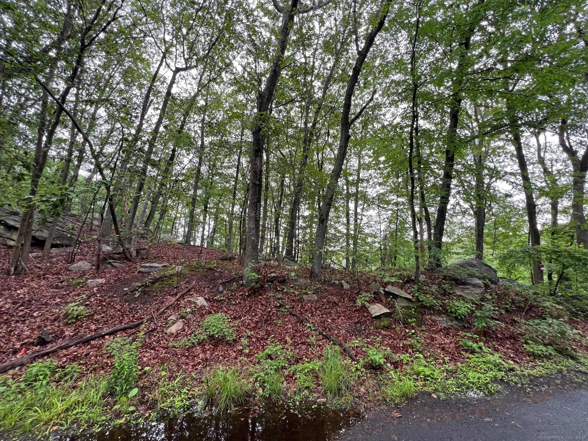 Property Photo: 92 Walnut Avenue CT 06484